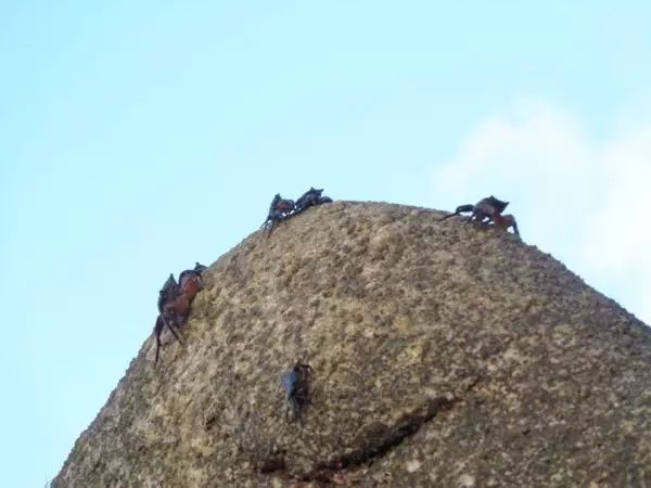 平潭景点一日游路线_平潭旅游攻略_平潭一日游旅游攻略