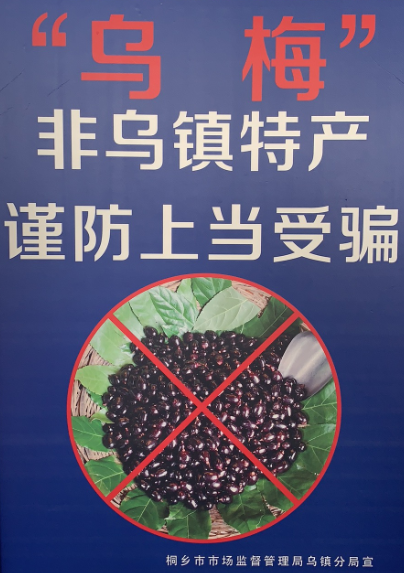 上海乌镇旅游攻略-上海乌镇在哪(图17) 上海乌镇在哪_上海乌镇有什么好玩的景点_上海乌镇旅游攻略