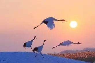 冬季镜泊湖旅游攻略-冬季镜泊湖游览攻略(图7) 冬季镜泊湖游览攻略_冬天镜泊湖好玩吗_冬季镜泊湖旅游攻略