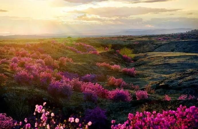 冬季镜泊湖旅游攻略_镜泊湖冬景_冬天镜泊湖好玩吗