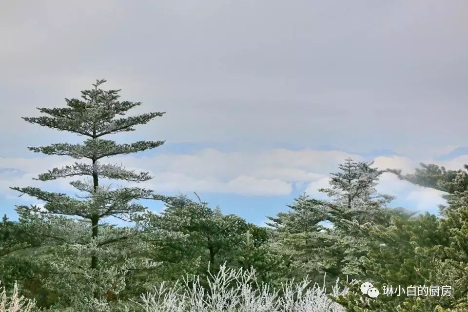 自贡到峨眉山旅游攻略-自贡峨眉山有多远(图28) 自贡去峨眉山旅游攻略_自贡峨眉山有多远_自贡到峨眉山旅游攻略