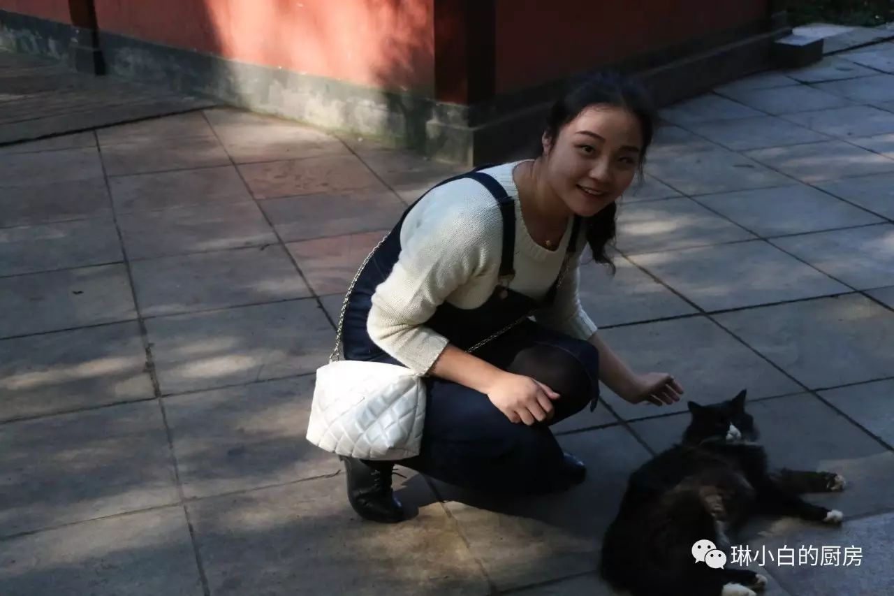 自贡到峨眉山旅游攻略-自贡峨眉山有多远(图35) 自贡到峨眉山旅游攻略_自贡峨眉山有多远_自贡去峨眉山旅游攻略