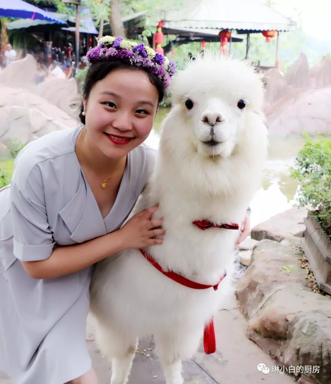 自贡到峨眉山旅游攻略-自贡峨眉山有多远(图43) 自贡到峨眉山旅游攻略_自贡去峨眉山旅游攻略_自贡峨眉山有多远
