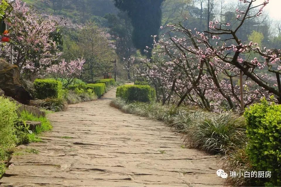 自贡到峨眉山旅游攻略-自贡峨眉山有多远(图47) 自贡去峨眉山旅游攻略_自贡峨眉山有多远_自贡到峨眉山旅游攻略