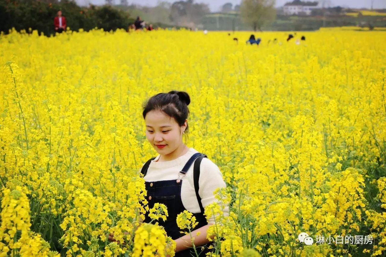 自贡到峨眉山旅游攻略-自贡峨眉山有多远(图48) 自贡去峨眉山旅游攻略_自贡峨眉山有多远_自贡到峨眉山旅游攻略