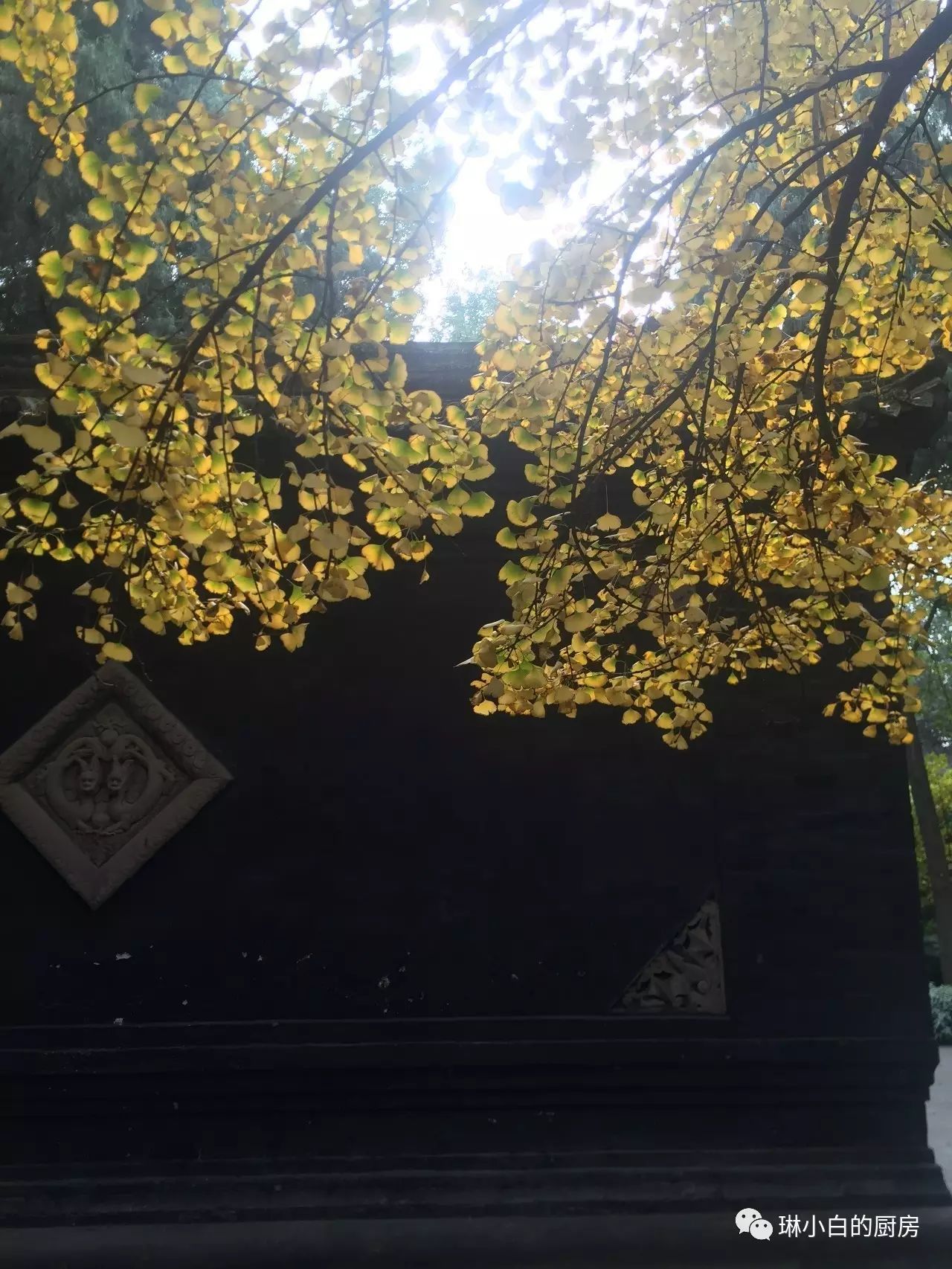 自贡到峨眉山旅游攻略-自贡峨眉山有多远(图6) 自贡峨眉山有多远_自贡去峨眉山旅游攻略_自贡到峨眉山旅游攻略