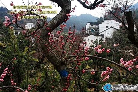 安徽渔梁坝旅游攻略-安徽水坝(图11) 安徽渔梁古镇_安徽水坝_安徽渔梁坝旅游攻略