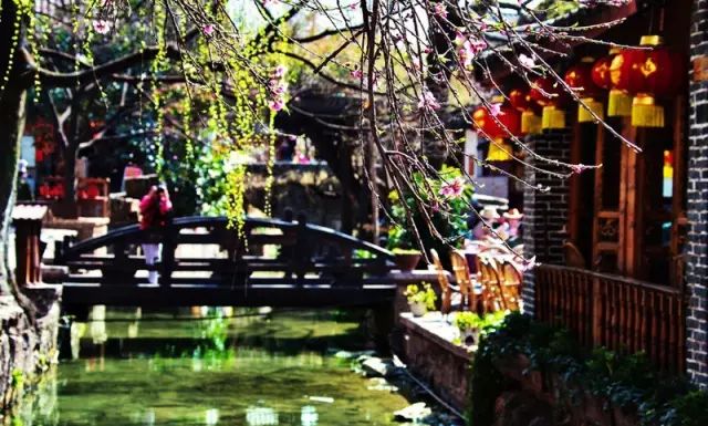 云南普洱思茅旅游攻略-普洱思茅旅游攻略必去景点(图3) 云南普洱思茅旅游攻略_云南省普洱市思茅区旅游景点_普洱思茅旅游攻略必去景点