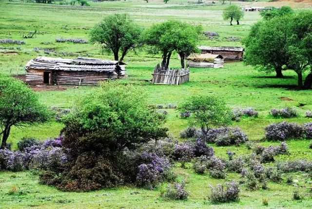 云南普洱思茅旅游攻略-普洱思茅旅游攻略必去景点(图4) 普洱思茅旅游攻略必去景点_云南普洱思茅旅游攻略_云南省普洱市思茅区旅游景点
