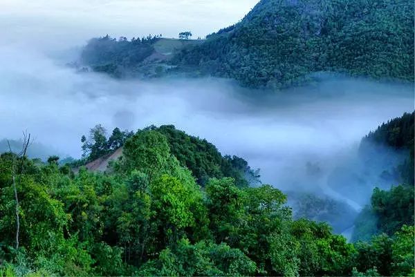 云南普洱思茅旅游攻略-普洱思茅旅游攻略必去景点(图9) 云南普洱思茅旅游攻略_云南省普洱市思茅区旅游景点_普洱思茅旅游攻略必去景点