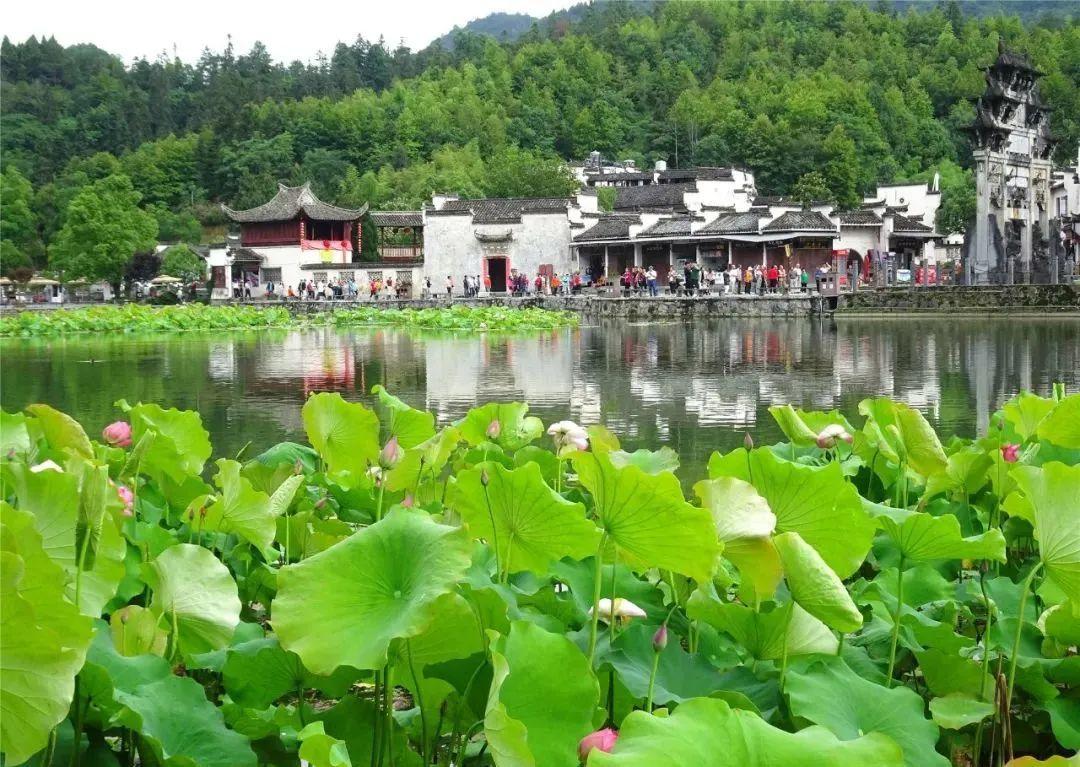 安徽渔梁坝旅游攻略-安徽水坝(图23) 安徽水坝_安徽渔梁坝旅游攻略_新安江渔梁坝