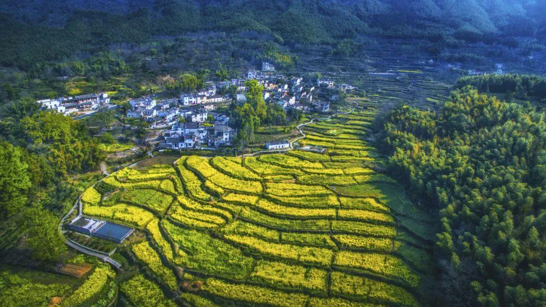 安徽渔梁坝旅游攻略-安徽水坝(图27) 安徽渔梁坝旅游攻略_安徽水坝_新安江渔梁坝