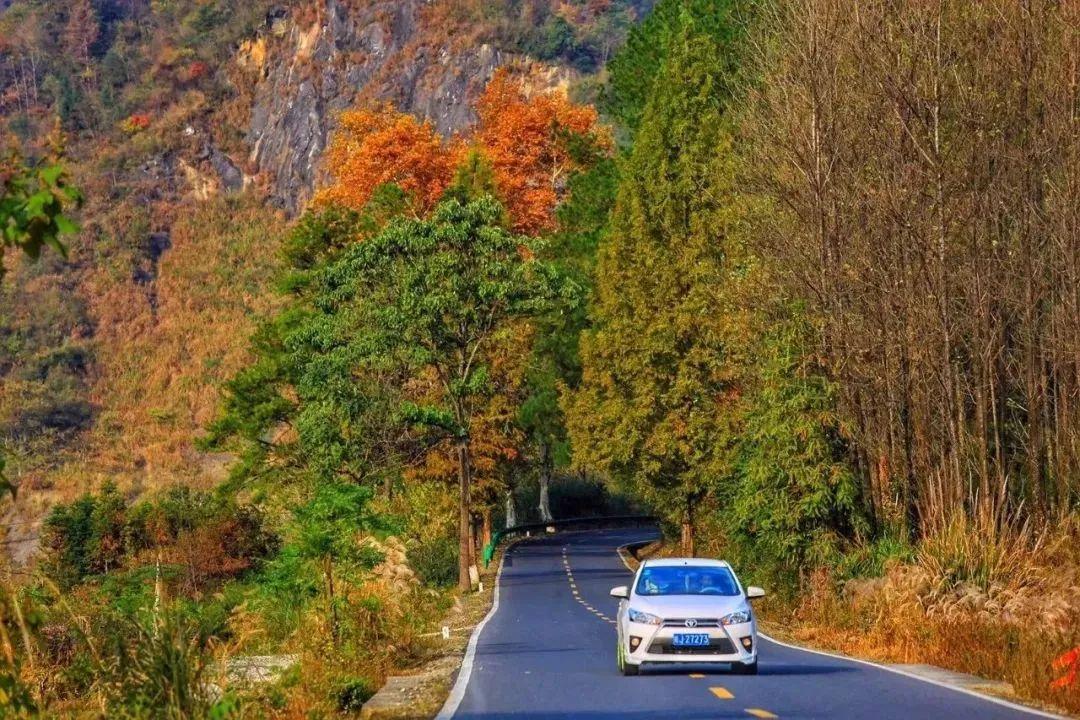 安徽渔梁坝旅游攻略-安徽水坝(图32) 安徽水坝_安徽渔梁坝旅游攻略_新安江渔梁坝