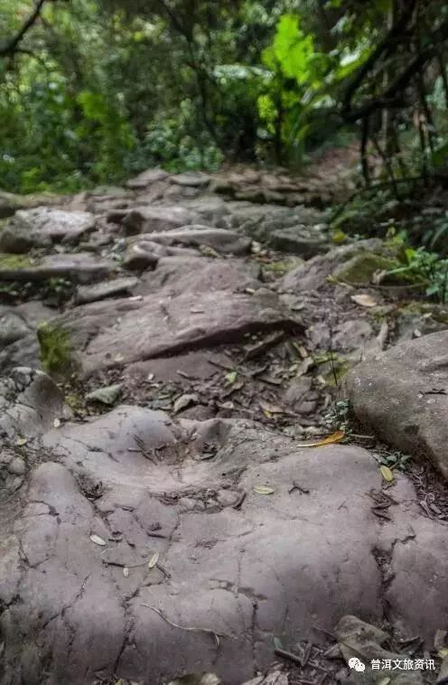 普洱思茅旅游攻略必去景点_云南省普洱市思茅区旅游景点_云南普洱思茅旅游攻略