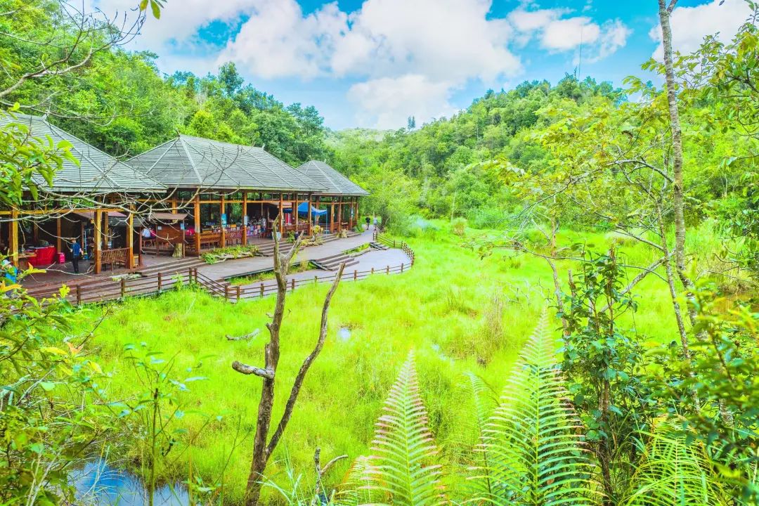 云南普洱思茅旅游攻略_普洱思茅哪里好玩_普洱思茅网红打卡地