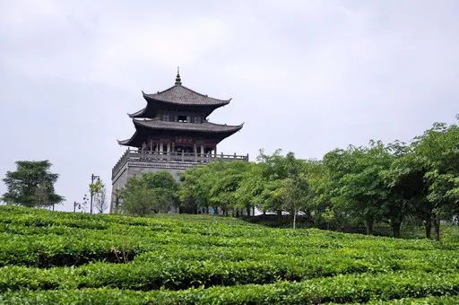 普洱思茅哪里好玩_云南普洱思茅旅游攻略_普洱思茅网红打卡地