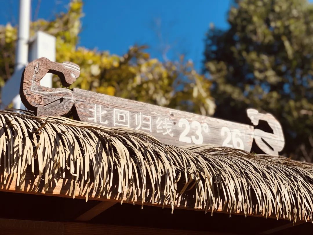 云南普洱思茅旅游攻略_普洱思茅网红打卡地_普洱思茅哪里好玩