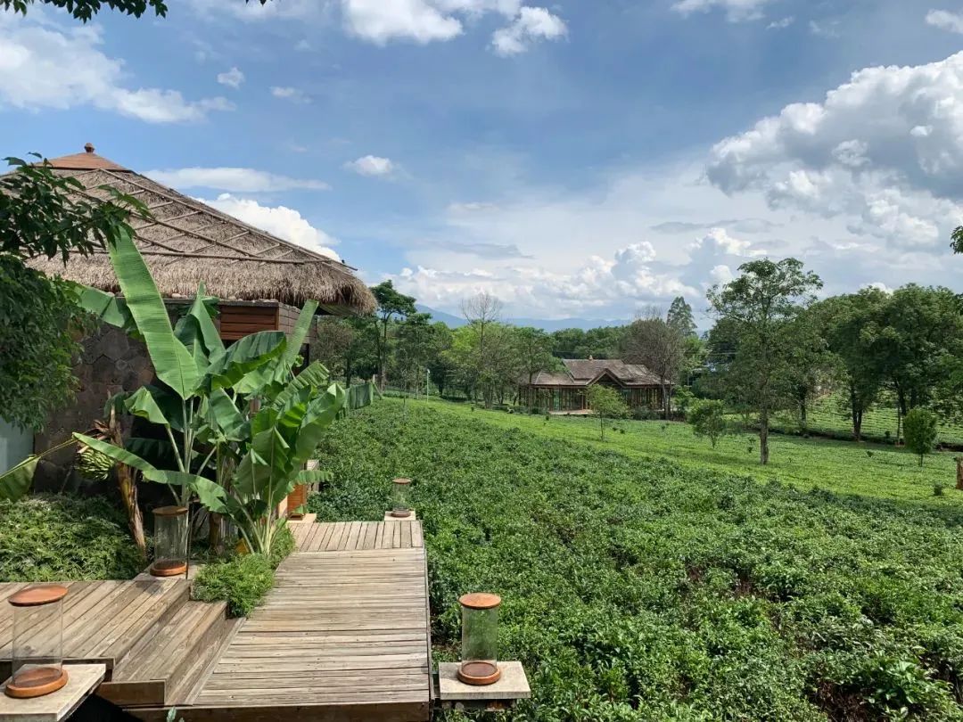 普洱思茅哪里好玩_云南普洱思茅旅游攻略_普洱思茅网红打卡地
