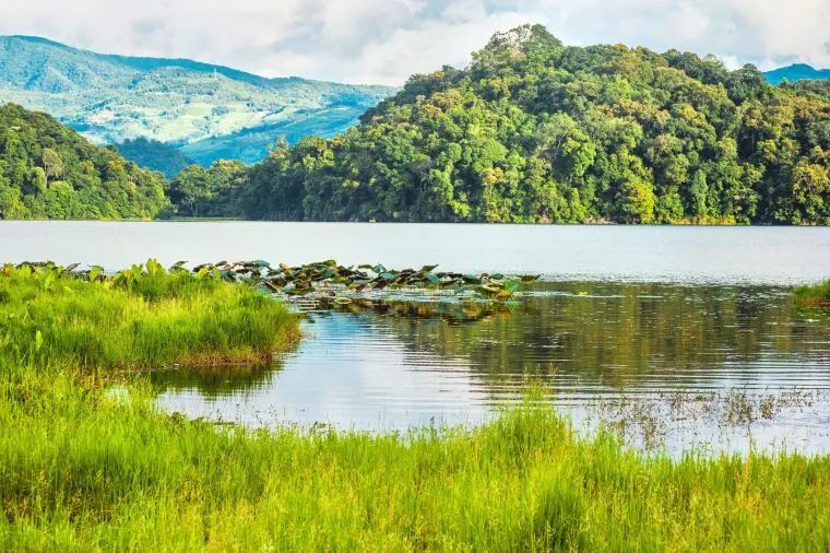 普洱思茅网红打卡地_云南普洱思茅旅游攻略_普洱思茅哪里好玩