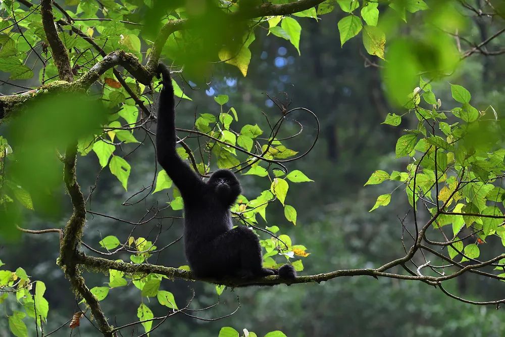 普洱思茅哪里好玩_普洱思茅网红打卡地_云南普洱思茅旅游攻略