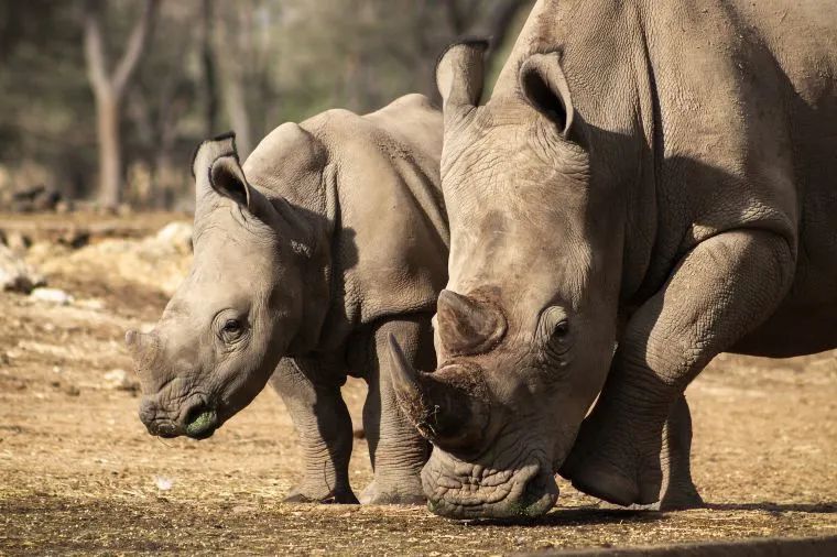 云南普洱思茅旅游攻略_普洱思茅哪里好玩_普洱思茅网红打卡地