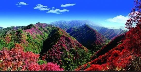 河南云台山风景区旅游攻略_河南云台山风景区视频_河南云台山旅游景区景点