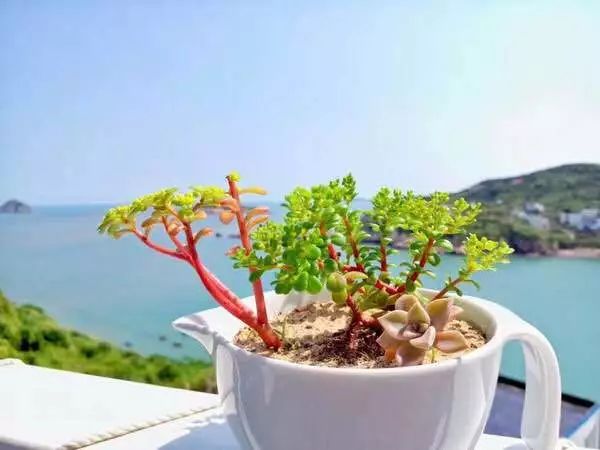 杭州到嵊泗二日游_杭州到嵊泗旅游团_杭州到嵊泗旅游攻略