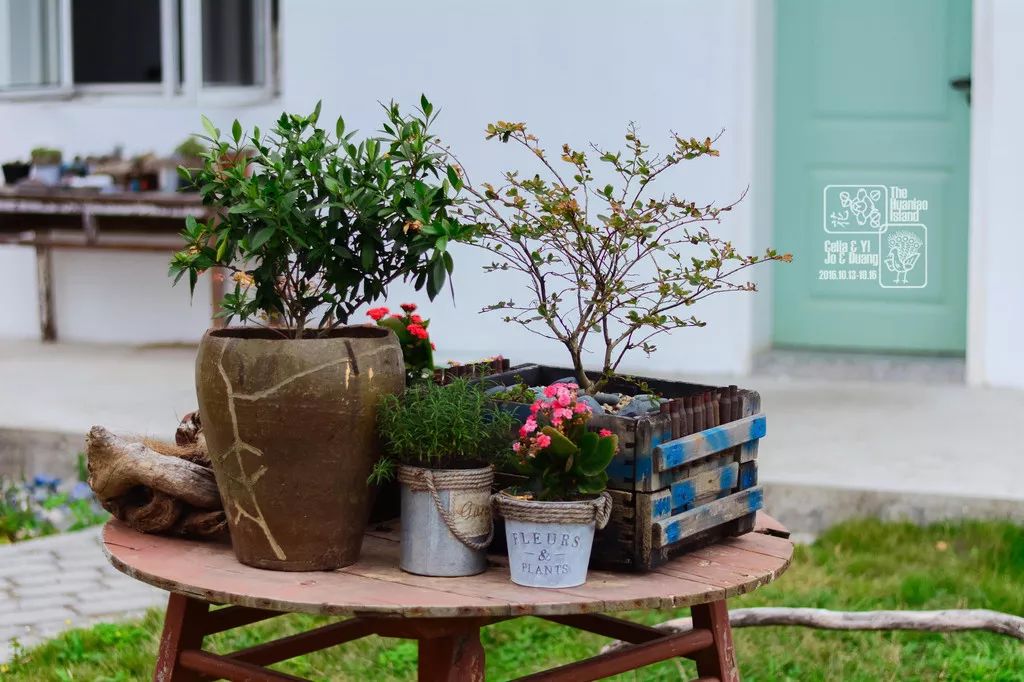 杭州到嵊泗二日游_杭州到嵊泗旅游攻略_杭州到嵊泗旅游团