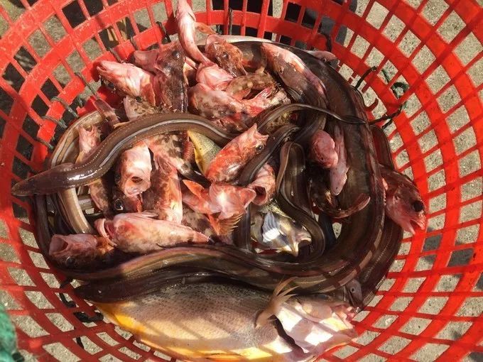 杭州到嵊泗二日游_杭州到嵊泗旅游团_杭州到嵊泗旅游攻略