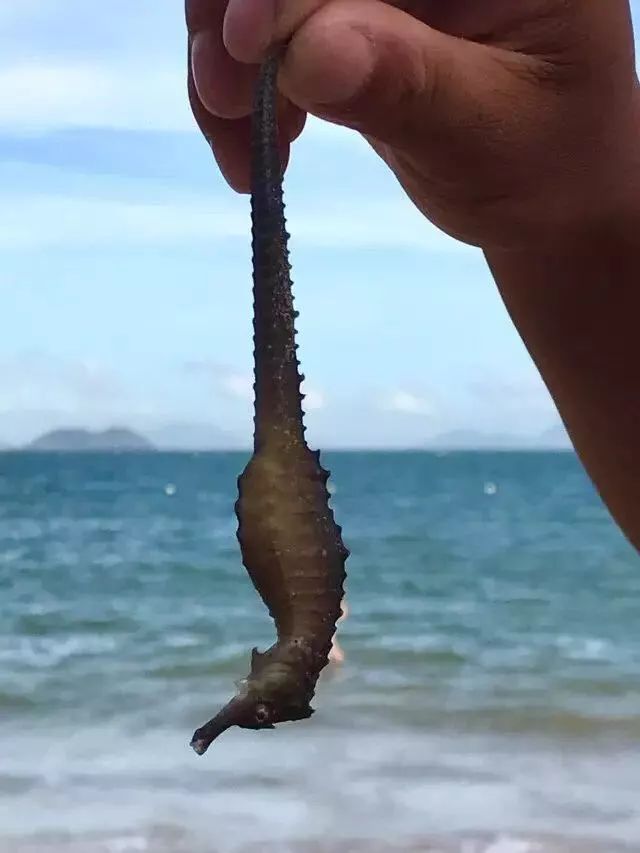 杭州到嵊泗旅游团_杭州到嵊泗二日游_杭州到嵊泗旅游攻略