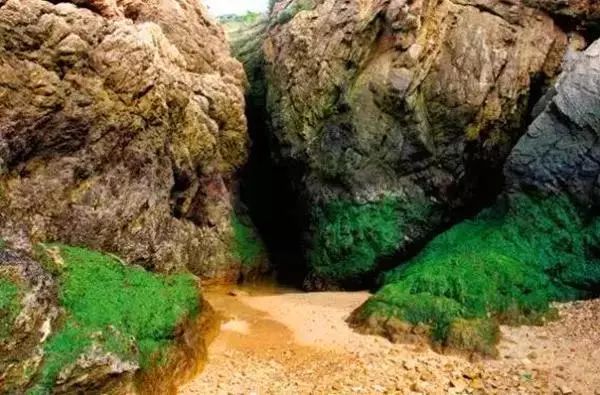 杭州到嵊泗旅游团_杭州到嵊泗旅游攻略_杭州到嵊泗二日游