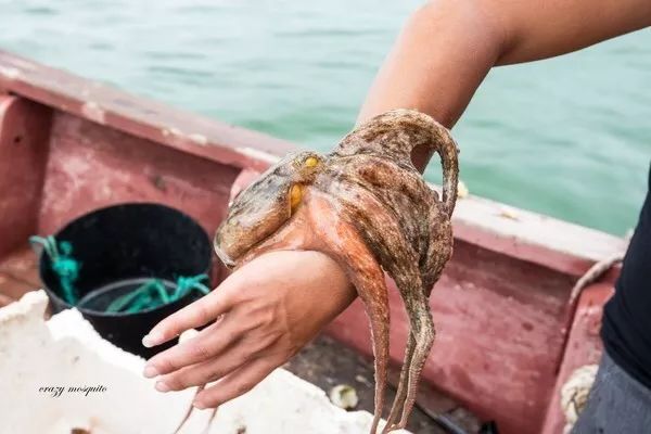 杭州到嵊泗二日游_杭州到嵊泗旅游团_杭州到嵊泗旅游攻略