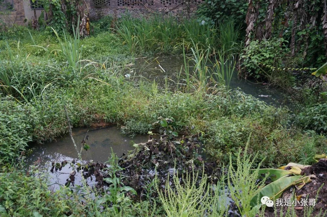 云水谣旅行攻略_云水谣旅游攻略_云水谣景区有什么好吃的