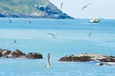 杭州到嵊泗旅游攻略_杭州去嵊泗自驾游怎么走_杭州到嵊泗岛旅游三日游攻略