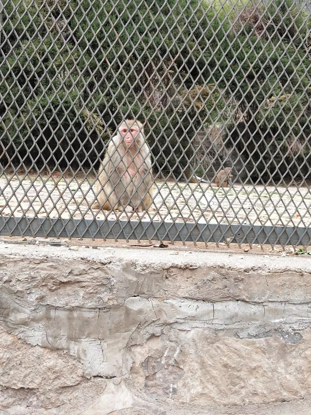 云台山自助游攻略 云台山旅游_云台山自由行攻略_云台山攻略自驾一日游