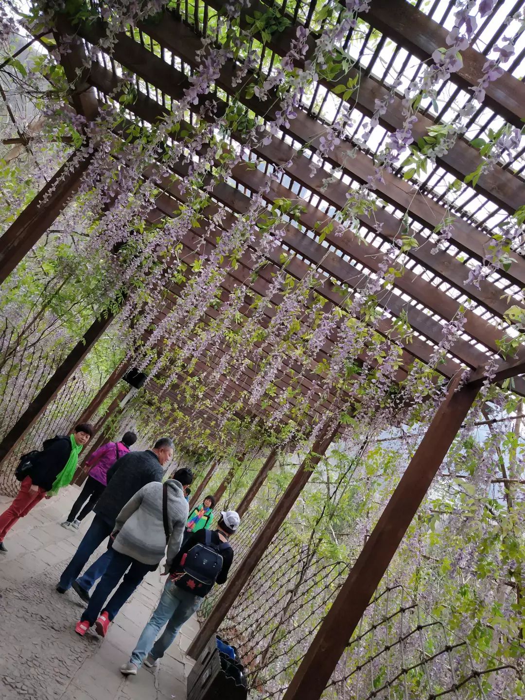 云台山自由行攻略_云台山自助游攻略 云台山旅游_云台山攻略自驾一日游