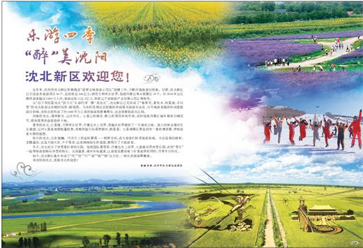 七星海旅游攻略-七星海旅游度假特区