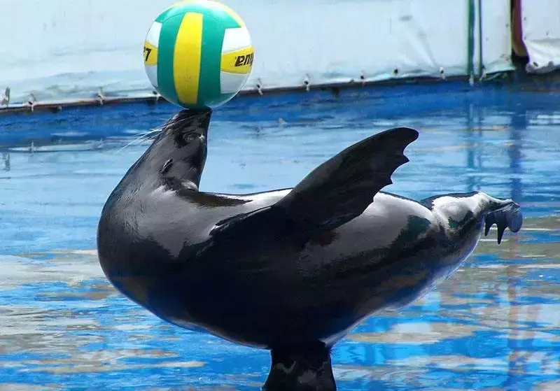 七星海景区_七星海游玩攻略_七星海旅游攻略