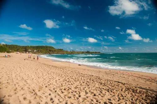 营口仙人岛旅游攻略-营口仙人岛森林公园(图5) 营口仙人岛森林公园_营口仙人岛旅游攻略_营口仙人岛好玩吗