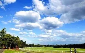 澳新旅游上海转机攻略-上海赴澳门旅游最新规定(图10) 澳新旅游上海转机攻略_上海赴澳门旅游最新规定_上海去澳洲飞机多久