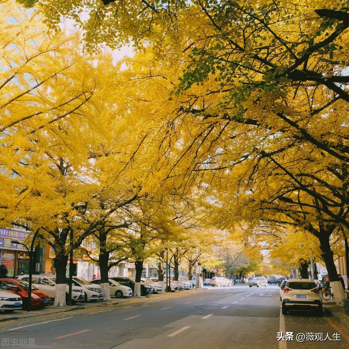 沈阳到丹东旅游攻略-沈阳去丹东自驾游(图3) 沈阳到丹东两日游_沈阳去丹东自驾游_沈阳到丹东旅游攻略