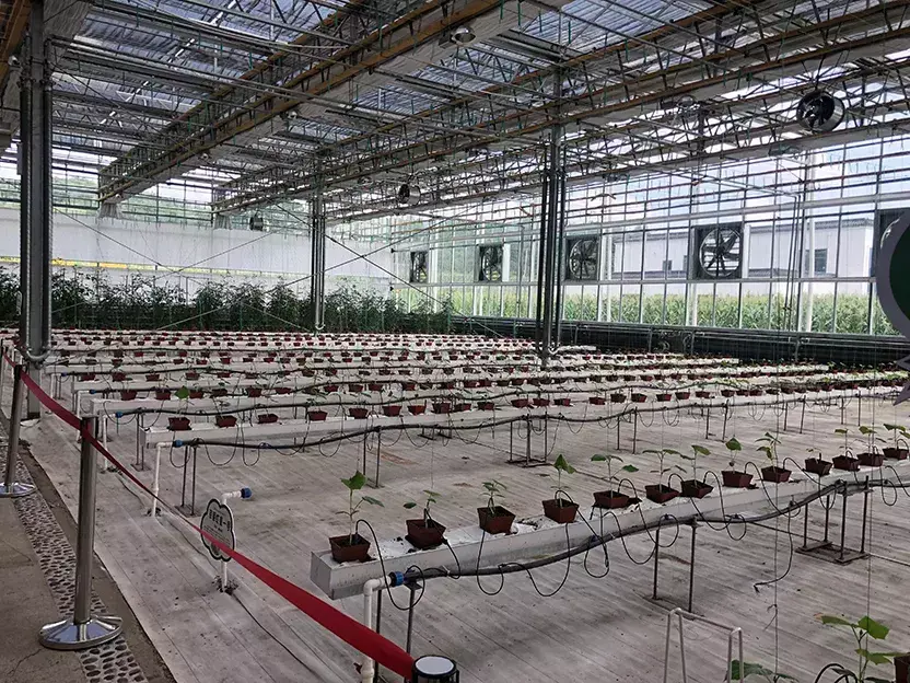 沈阳出发去丹东二日游_沈阳到丹东旅游攻略_沈阳去丹东自驾游