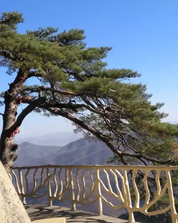 沈阳去丹东自驾游_沈阳出发去丹东二日游_沈阳到丹东旅游攻略