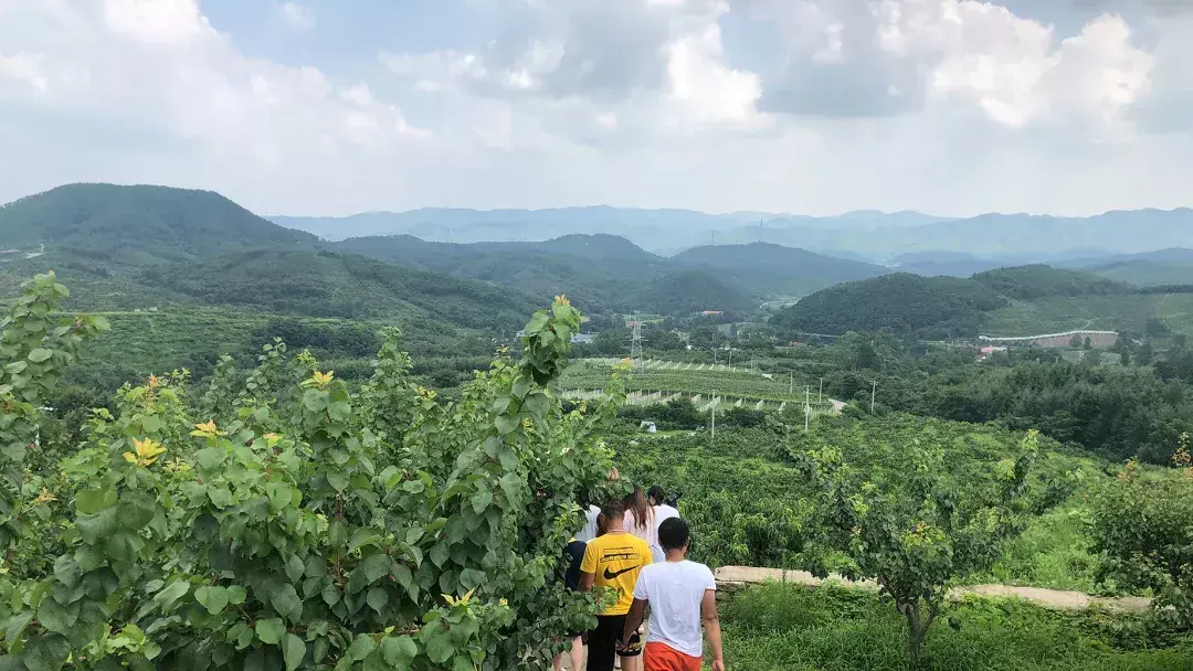 沈阳去丹东自驾游_沈阳到丹东旅游攻略_沈阳出发去丹东二日游