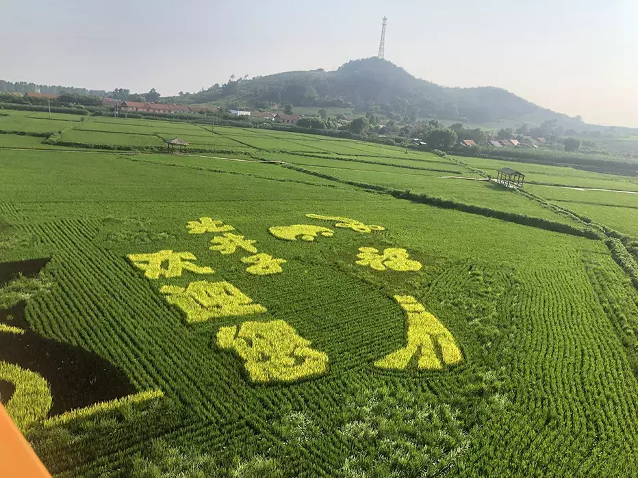沈阳去丹东自驾游_沈阳到丹东旅游攻略_沈阳出发去丹东二日游
