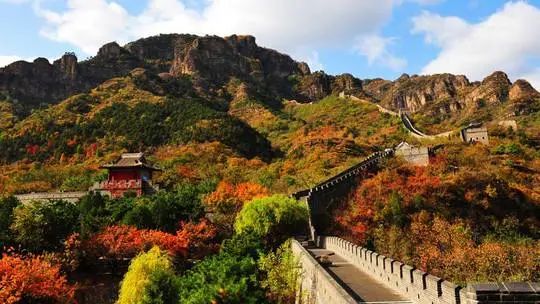 天津第五大道旅游攻略-天津大道全程多少公里(图3) 天津大道好开吗_天津第五大道旅游攻略_天津大道全程多少公里