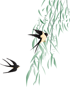 恩施坪坝营旅游攻略-湖北恩施坪坝营景区概况