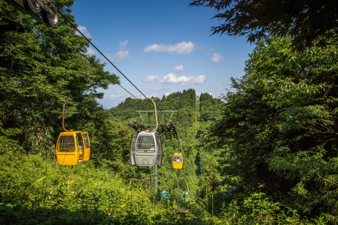 恩施坪坝营旅游攻略-湖北恩施坪坝营景区概况(图19) 恩施坪坝营旅游攻略_湖北恩施坪坝营景区概况_恩施坪坝营视频