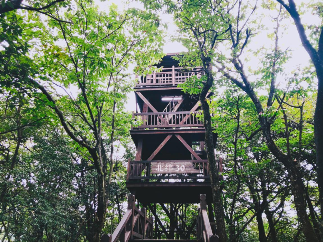 恩施坪坝营旅游攻略-湖北恩施坪坝营景区概况(图20) 湖北恩施坪坝营景区概况_恩施坪坝营旅游攻略_恩施坪坝营视频