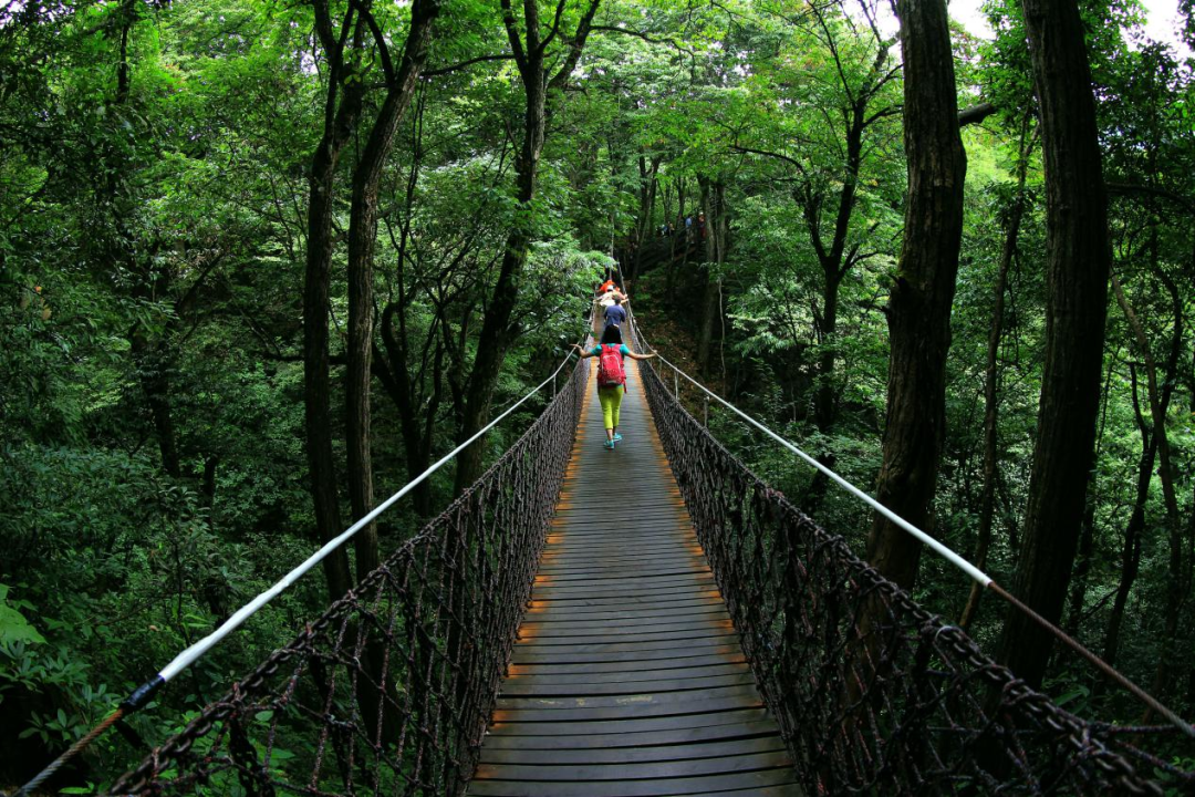 恩施坪坝营旅游攻略-湖北恩施坪坝营景区概况(图22) 恩施坪坝营旅游攻略_湖北恩施坪坝营景区概况_恩施坪坝营视频